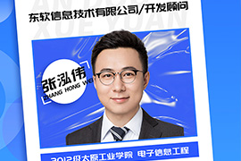 东软信息技术有限公司/开发顾问